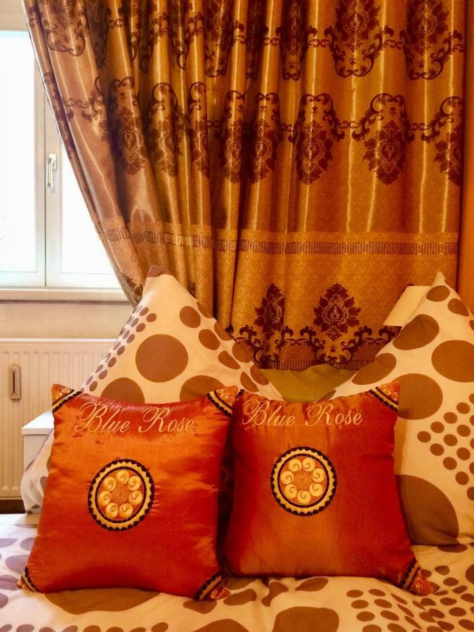 Blue Rose Apartman 카를로비바리 외부 사진