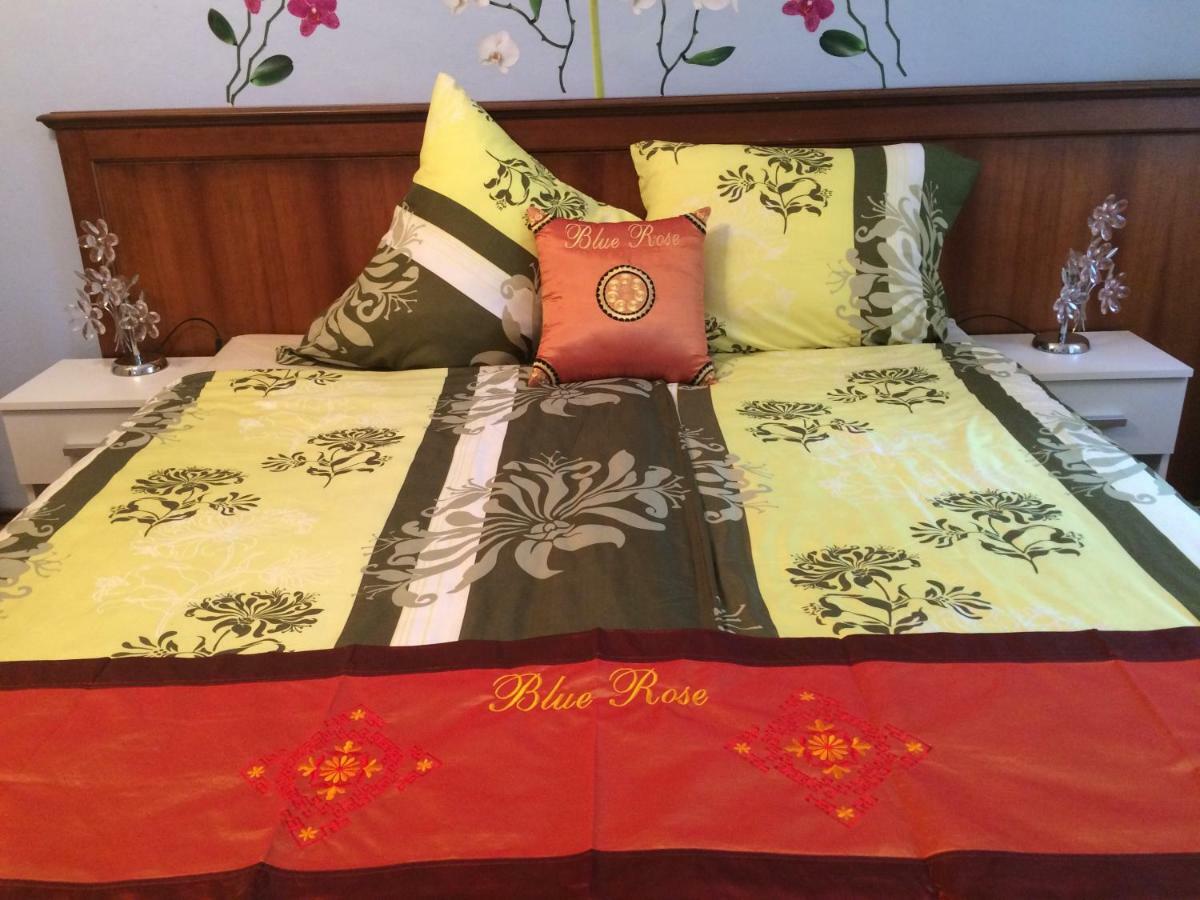 Blue Rose Apartman 카를로비바리 외부 사진