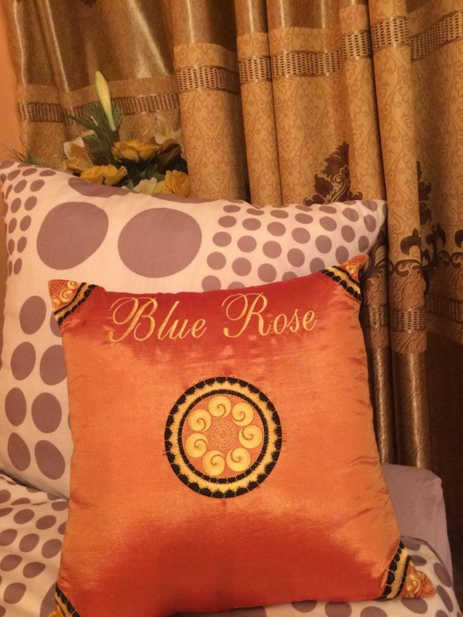 Blue Rose Apartman 카를로비바리 외부 사진