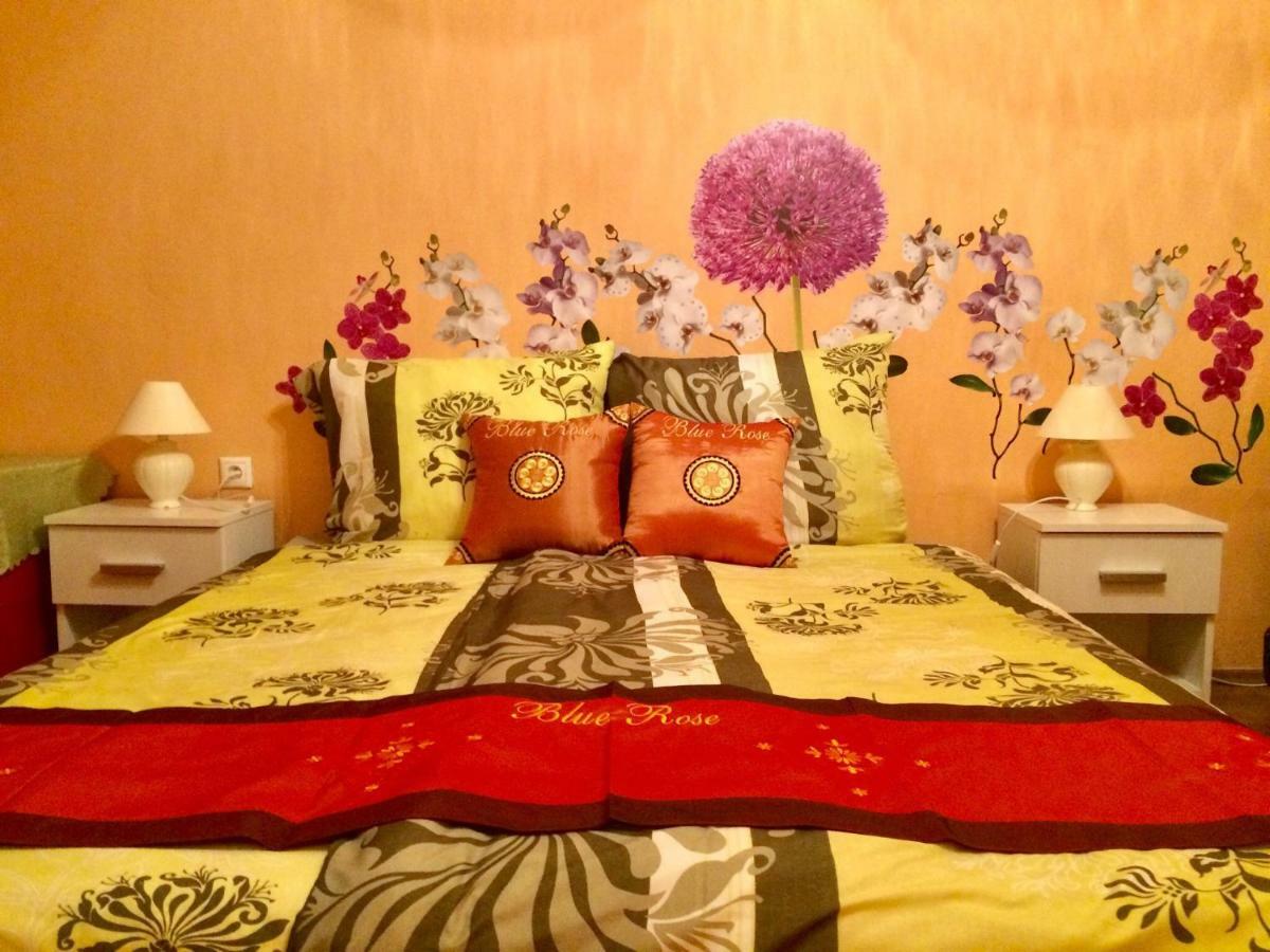 Blue Rose Apartman 카를로비바리 외부 사진