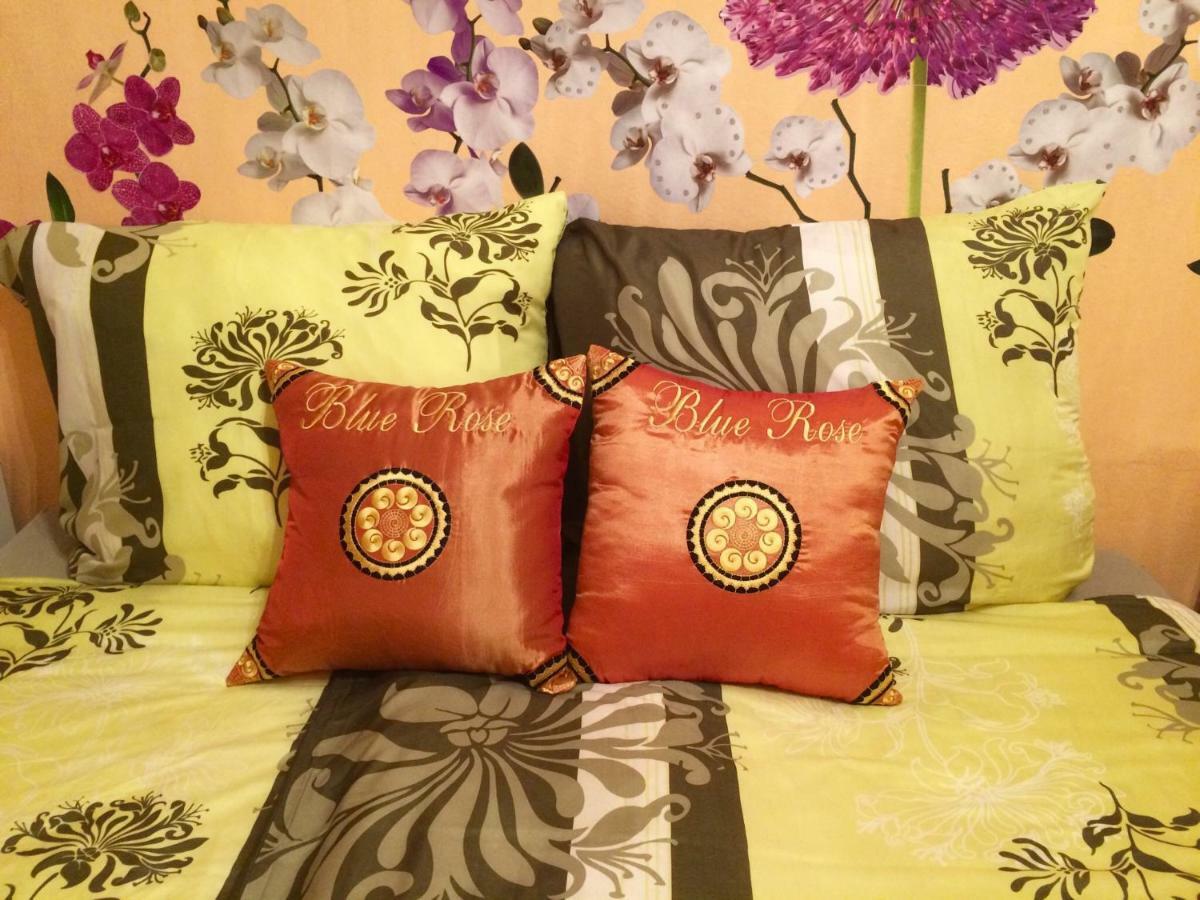 Blue Rose Apartman 카를로비바리 외부 사진