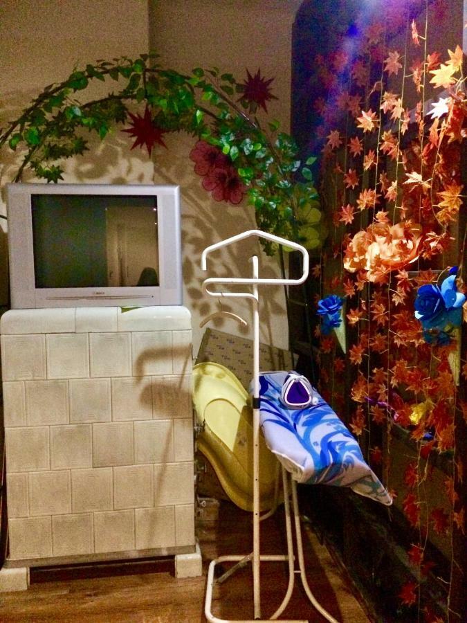 Blue Rose Apartman 카를로비바리 외부 사진